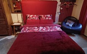 Bed And Breakfast Opus 209